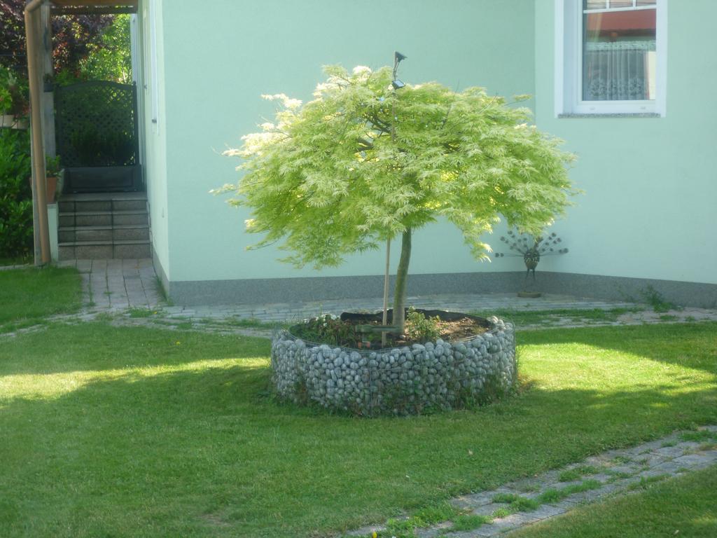 Gartenpension Prosl فيينا المظهر الخارجي الصورة